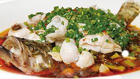 青椒大桂鱼